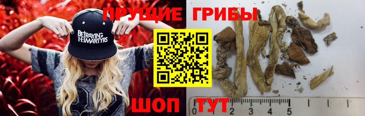 Псилоцибиновые грибы MAGIC MUSHROOMS  Псилоцибиновые грибы мицелий  Вход с VPN  Долгопрудный 